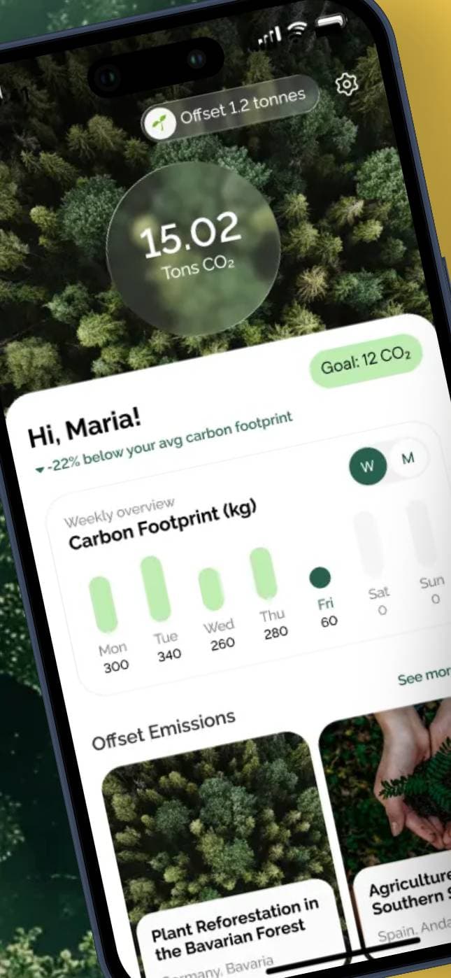 Weather, Forest, Nature screenshot 2